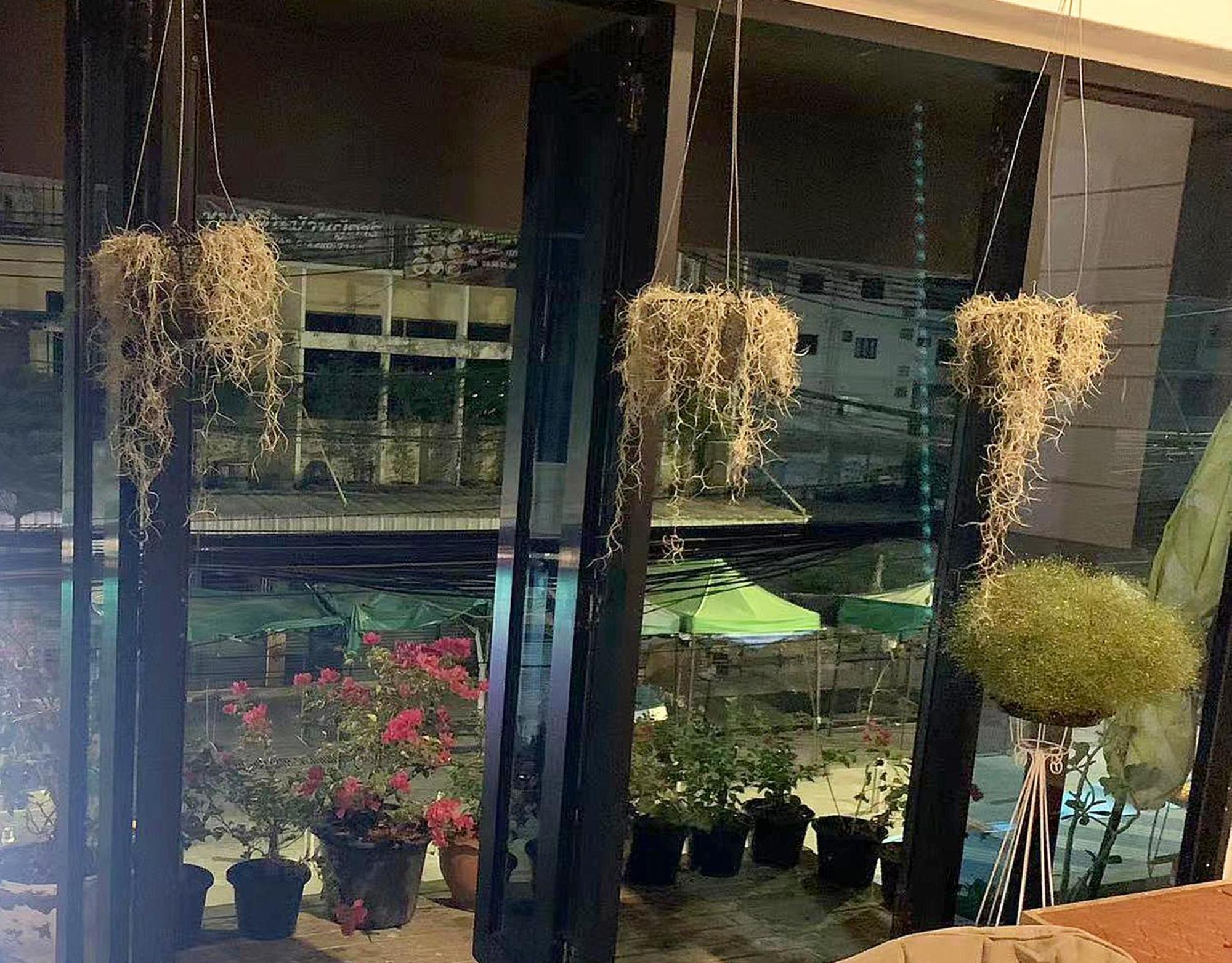 Susu Khaosan Hostel بانكوك المظهر الخارجي الصورة